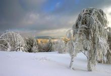 阳气不足，易患5种病！不做9件耗阳的事，阳虚体寒的人要知道