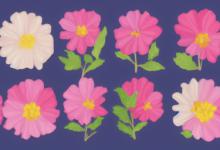 带有花字的成语