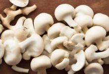 白茨菇怎样吃治疗肿瘤