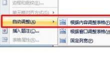 word插入表格只显示一页是什么原因