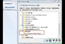 windows media player关不掉