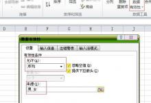 excel2010中怎样用数据有效性输入性别男女