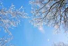 入腊月：养气血的关键1个月，3宜4忌要做好！