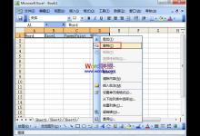 将Excel2003单元格行列数据转置