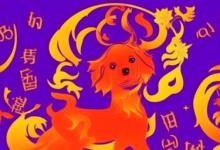 属狗的女和什么属相最旺