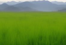 什么时候去草原最旺