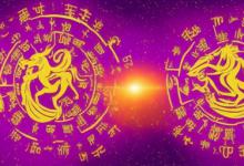 梦见什么生肖最旺财运