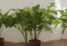 大厅放什么植物最旺风水