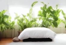 卧室摆放什么植物最旺风水