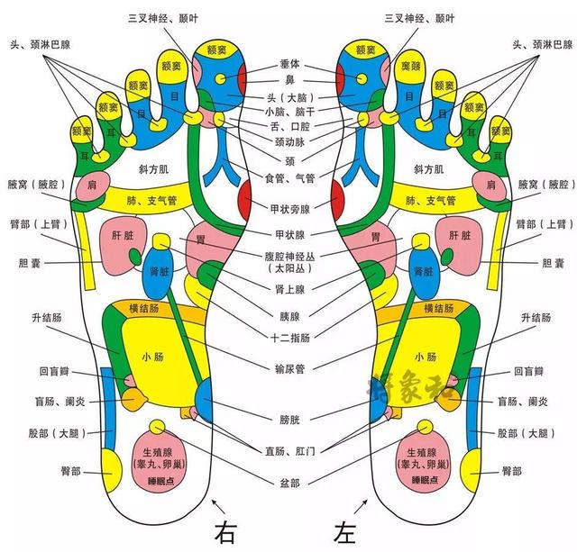 十二经络堵了,人体有哪些反应?