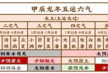 体内寒湿、痰湿重的人，甲辰龙年一定要做好3件事，痰湿少阳气足！