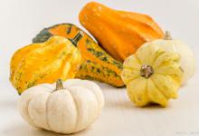 小南瓜种植指南：步骤与技巧详解