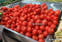 买西红柿时，遇到“这5种”再便宜也不能买，看完记得告诉家里人