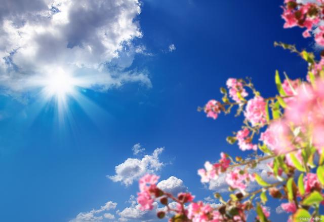 这2个榨干你气血的坏习惯,能戒了最好!特别是气血虚的人