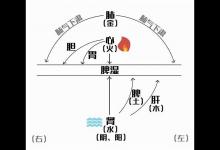 二伏吃2个食物，把阳气补进肚子里，提升阳气、健脾胃、散掉体内的寒湿