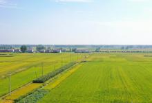 2024年广州广东从化区农业产业扶持政策：加大投资奖励多少？