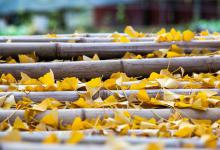 立秋过后：最耗你气血的3件事，能改了就好！