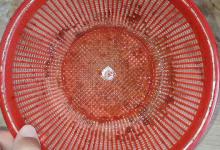 菜篮子脏了，别再傻傻用水洗，学会这个方法，一擦立刻干净！