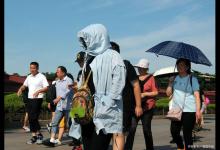 末伏：三伏养阳最后10天，不做这件事就亏了！