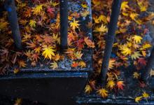 立秋过后，吃3豆，喝1汤，祛湿健脾，赶走秋乏