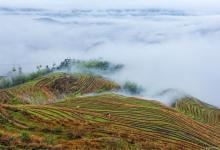 立秋后做好4“收”，把阳气收得紧紧实实，整个冬天阳气足、少生病