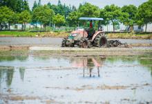 2024年重庆璧山区农业生产社会化服务补助政策：每亩补助多少？