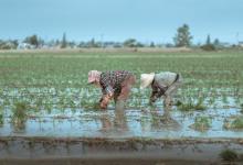 2024年城乡低保标准：北京、重庆、黑龙江每人每月多少钱？