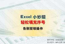 Excel小妙招：轻松实现序号快速填充，告别繁琐操作！