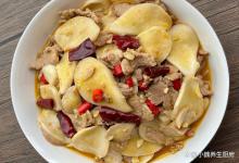 冬天，这菜要使劲吃！简单省事，营养又美味，孩子老公抢着吃！