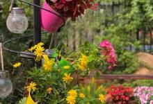 开春养花，3类花盆不要买，性价比很低，太阳一晒就碎掉！