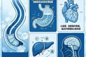 冰镇白酒下肚,人体各系统都在经历 “生死考验”