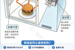 让食物每秒振动24.5亿次:一张构造图看懂微波炉加热!
