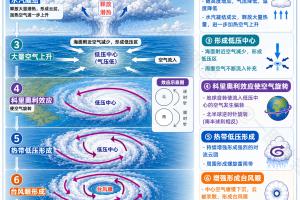 台风为什么不在陆地形成?一张图拆解台风发育流程