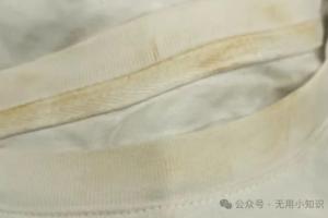 洗了几十年衣服都错了?这份科学去渍指南,让旧衣件件像新买的